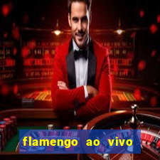 flamengo ao vivo multi tv